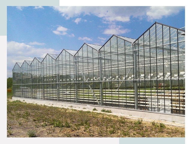 Строительство теплиц в Белореченск от 609 руб. за м²