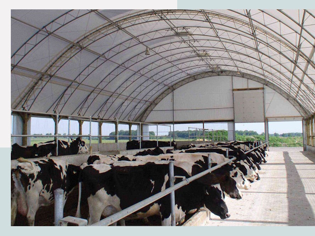 Тентовые коровники в Белореченске